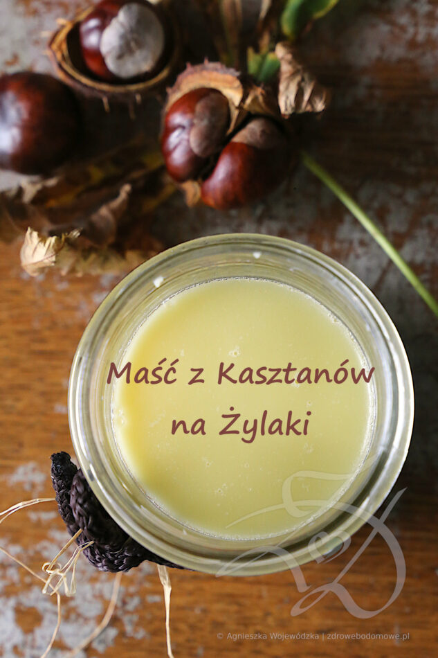 Domowa Maść z Kasztanów na Żylaki Domowa Maść z Kasztanów na Żylaki